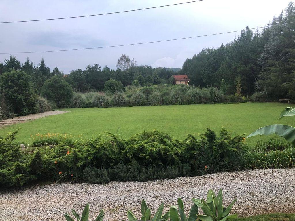 Foto de la galeria de imagenes