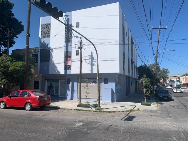 Foto de la galeria de imagenes