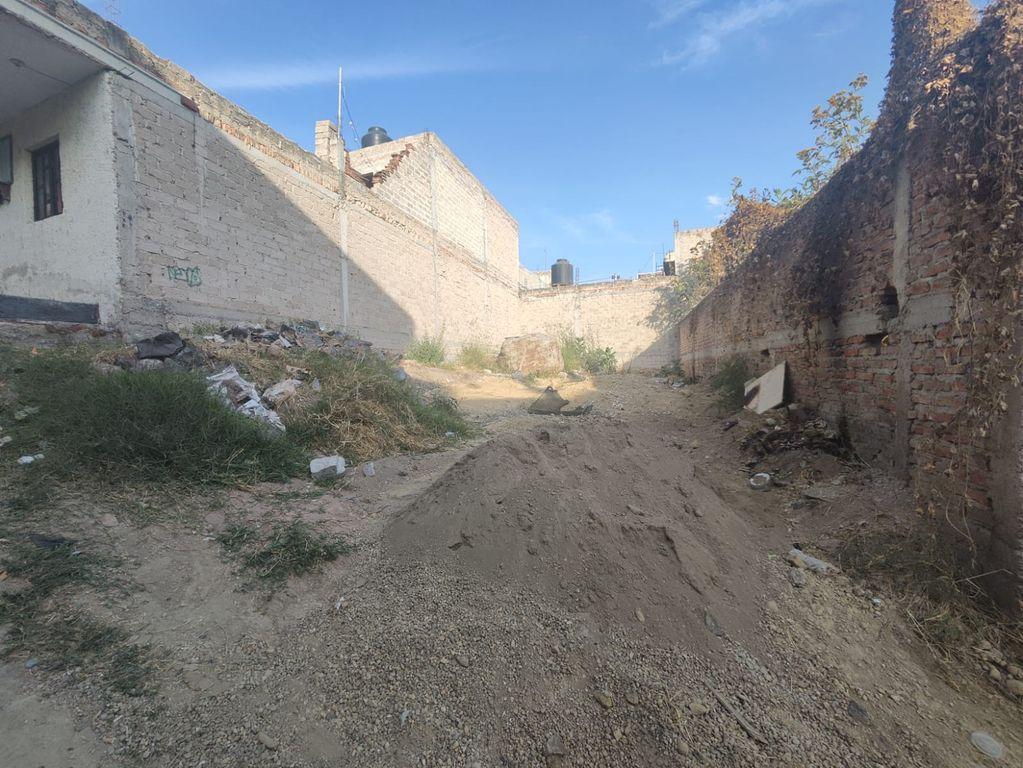Foto de la galeria de imagenes