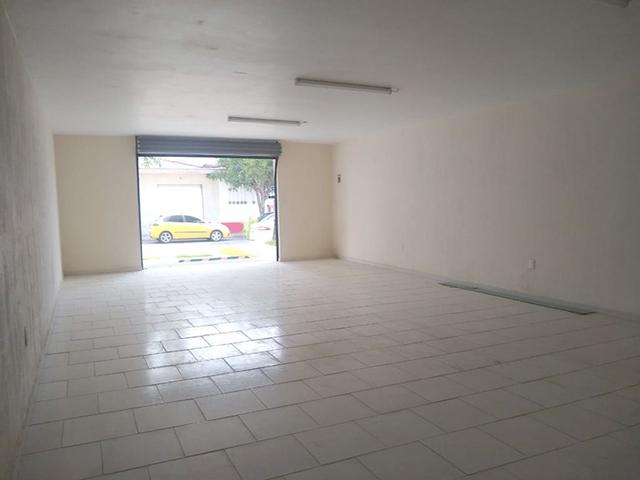 Foto de la galeria de imagenes