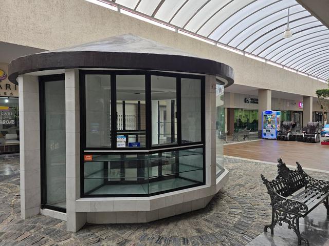 Foto de la galeria de imagenes