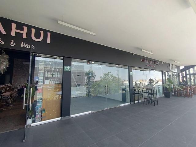 Foto de la galeria de imagenes