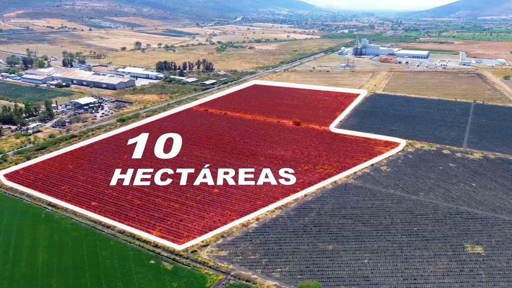 Foto de la galeria de imagenes