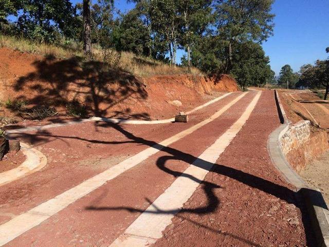 Foto de la galeria de imagenes